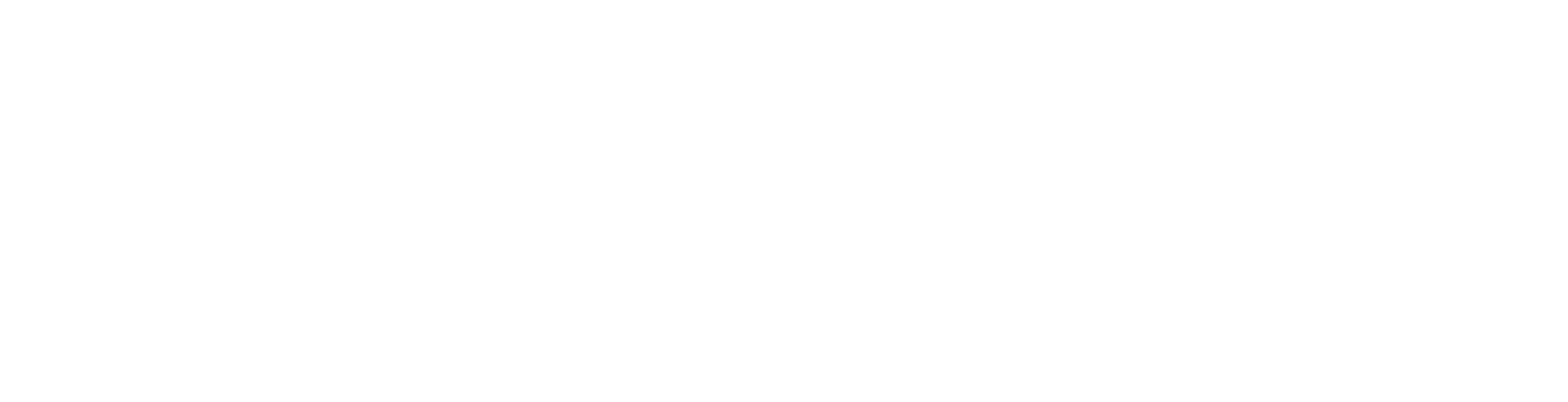 Skyler Soares Skin Clinic Logo